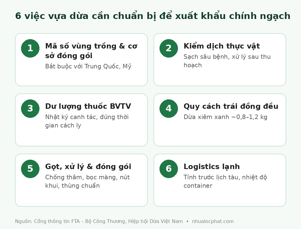 6 việc vựa dừa cần chuẩn bị để xuất khẩu dừa tươi chính ngạch