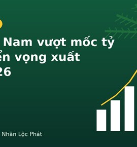 Dừa Việt Nam vượt mốc tỷ USD: Bức tranh xuất khẩu và triển vọng 2026