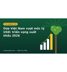 Dừa Việt Nam vượt mốc tỷ USD: Bức tranh xuất khẩu và triển vọng 2026