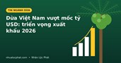 Dừa Việt Nam vượt mốc tỷ USD: Bức tranh xuất khẩu và triển vọng 2026
