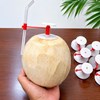 Nút Dừa Khóa Dài – Ống Hút Treo Trên Khóa