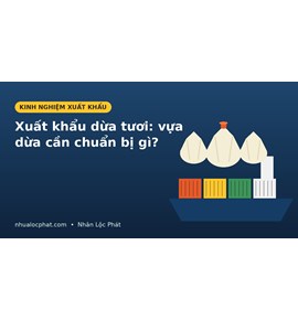 Xuất khẩu dừa tươi sang Trung Quốc và Mỹ: Vựa dừa cần chuẩn bị gì?